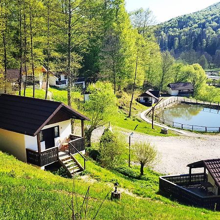 Satu Muscelean Albestii de Muscel Exterior foto