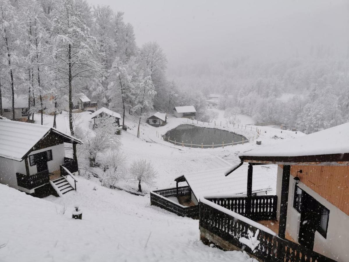 Satu Muscelean Albestii de Muscel Exterior foto