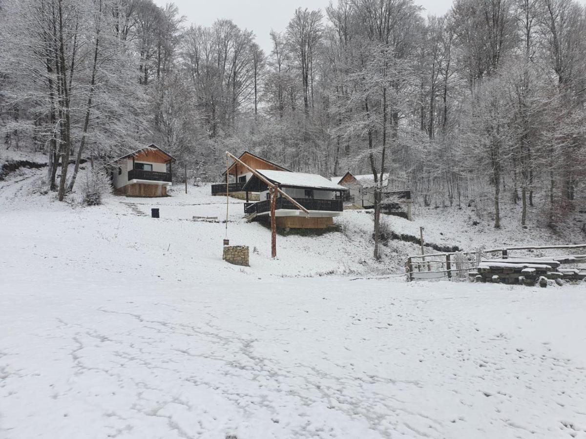 Satu Muscelean Albestii de Muscel Exterior foto