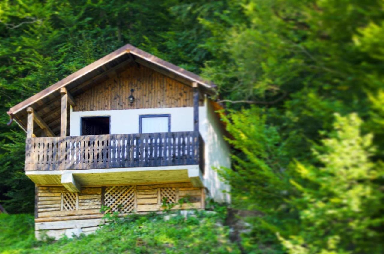 Satu Muscelean Albestii de Muscel Exterior foto